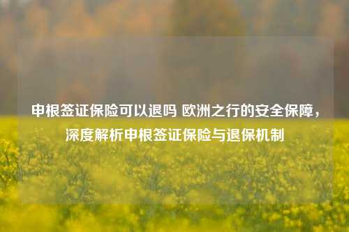 申根签证保险可以退吗 欧洲之行的安全保障，深度解析申根签证保险与退保机制