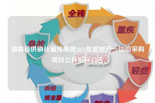 湖南省供销社留芳集团2024年度财产一切险采购项目公开招标公告