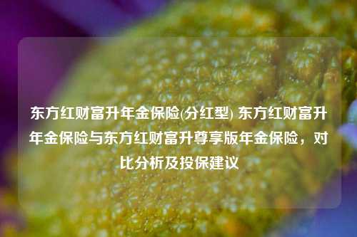 东方红财富升年金保险(分红型) 东方红财富升年金保险与东方红财富升尊享版年金保险，对比分析及投保建议