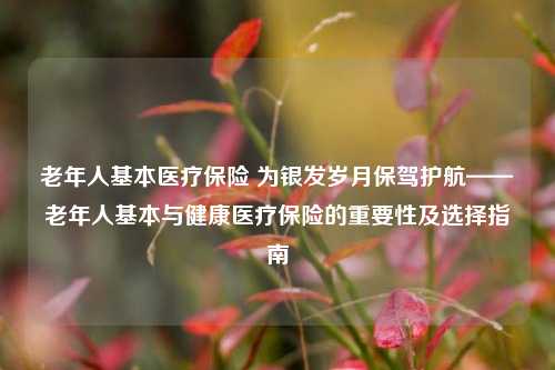 老年人基本医疗保险 为银发岁月保驾护航——老年人基本与健康医疗保险的重要性及选择指南