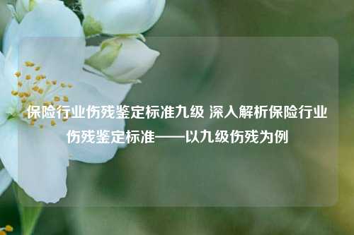 保险行业伤残鉴定标准九级 深入解析保险行业伤残鉴定标准——以九级伤残为例