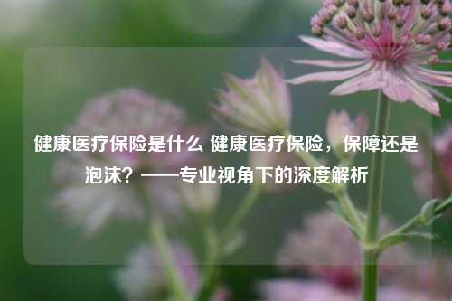 健康医疗保险是什么 健康医疗保险，保障还是泡沫？——专业视角下的深度解析