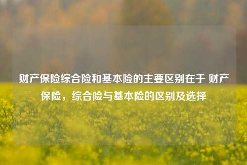 财产保险综合险和基本险的主要区别在于 财产保险，综合险与基本险的区别及选择