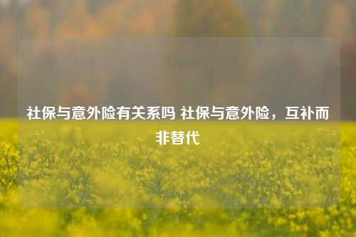 社保与意外险有关系吗 社保与意外险，互补而非替代