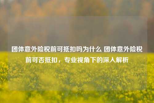 团体意外险税前可抵扣吗为什么 团体意外险税前可否抵扣，专业视角下的深入解析