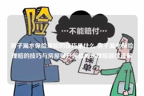 房子漏水保险理赔的技巧是什么 房子漏水保险理赔的技巧与房屋财产保险漏水理赔额度详解