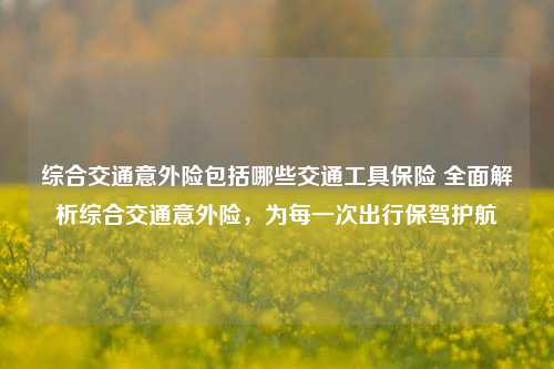 综合交通意外险包括哪些交通工具保险 全面解析综合交通意外险，为每一次出行保驾护航