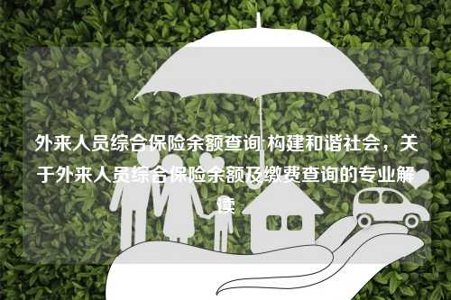 外来人员综合保险余额查询 构建和谐社会，关于外来人员综合保险余额及缴费查询的专业解读