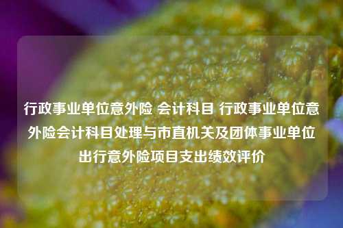 行政事业单位意外险 会计科目 行政事业单位意外险会计科目处理与市直机关及团体事业单位出行意外险项目支出绩效评价