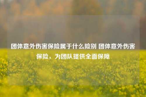 团体意外伤害保险属于什么险别 团体意外伤害保险，为团队提供全面保障