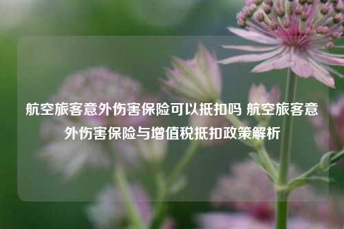 航空旅客意外伤害保险可以抵扣吗 航空旅客意外伤害保险与增值税抵扣政策解析