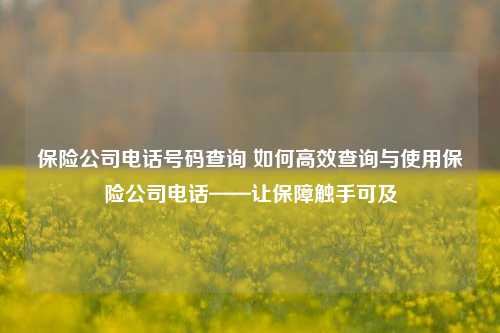 保险公司电话号码查询 如何高效查询与使用保险公司电话——让保障触手可及