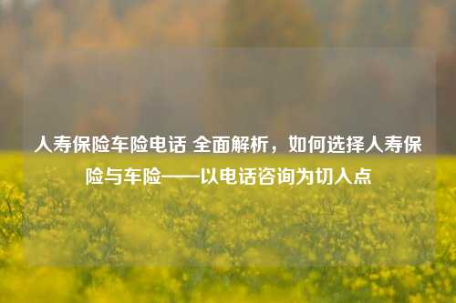 人寿保险车险电话 全面解析，如何选择人寿保险与车险——以电话咨询为切入点