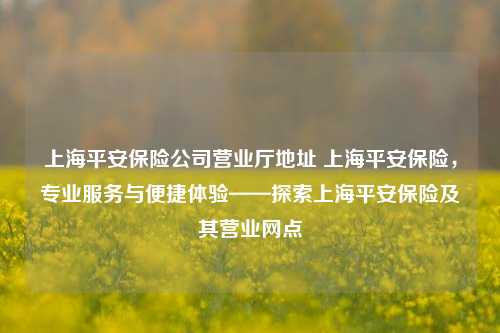 上海平安保险公司营业厅地址 上海平安保险，专业服务与便捷体验——探索上海平安保险及其营业网点