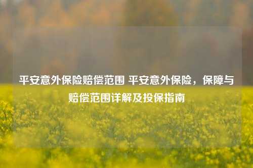 平安意外保险赔偿范围 平安意外保险，保障与赔偿范围详解及投保指南