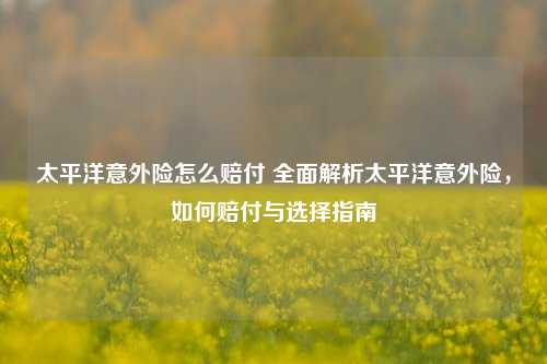 太平洋意外险怎么赔付 全面解析太平洋意外险，如何赔付与选择指南