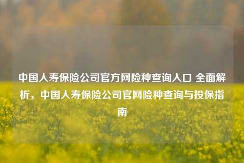 中国人寿保险公司官方网险种查询入口 全面解析，中国人寿保险公司官网险种查询与投保指南