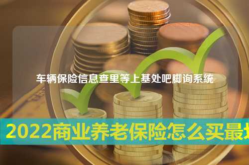 车辆保险信息查里等上基处吧脚询系统