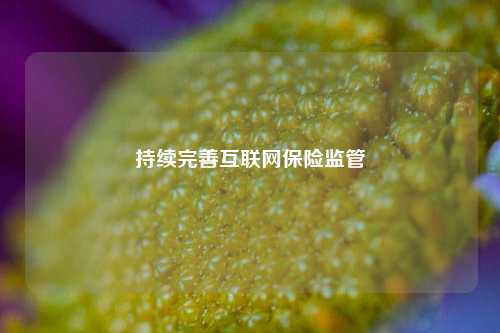 持续完善互联网保险监管