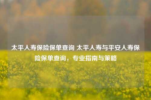 太平人寿保险保单查询 太平人寿与平安人寿保险保单查询，专业指南与策略