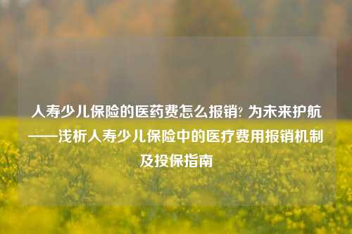 人寿少儿保险的医药费怎么报销? 为未来护航——浅析人寿少儿保险中的医疗费用报销机制及投保指南