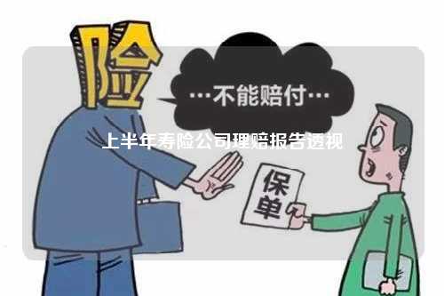 上半年寿险公司理赔报告透视