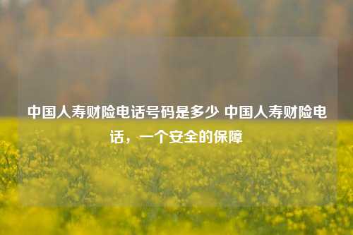 中国人寿财险电话号码是多少 中国人寿财险电话，一个安全的保障