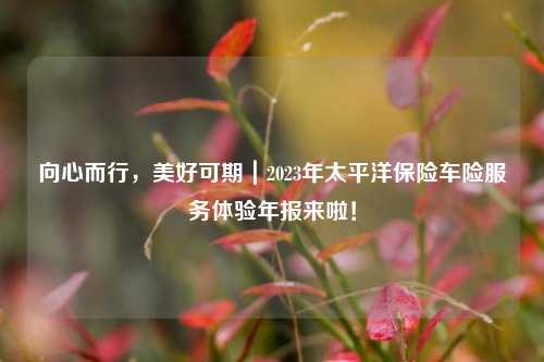 向心而行，美好可期｜2023年太平洋保险车险服务体验年报来啦！