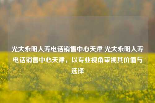 光大永明人寿电话销售中心天津 光大永明人寿电话销售中心天津，以专业视角审视其价值与选择