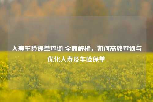 人寿车险保单查询 全面解析，如何高效查询与优化人寿及车险保单