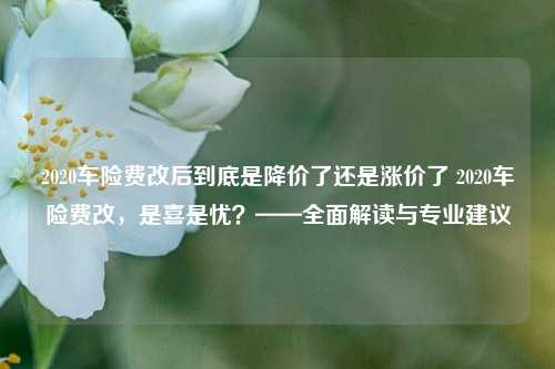 2020车险费改后到底是降价了还是涨价了 2020车险费改，是喜是忧？——全面解读与专业建议