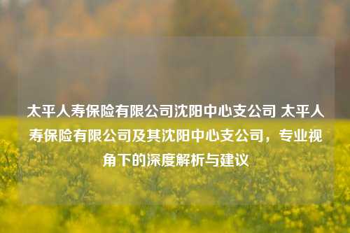 太平人寿保险有限公司沈阳中心支公司 太平人寿保险有限公司及其沈阳中心支公司，专业视角下的深度解析与建议