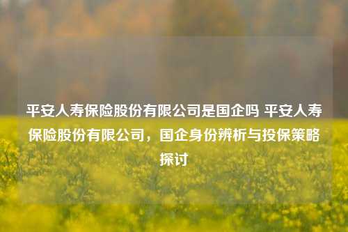 平安人寿保险股份有限公司是国企吗 平安人寿保险股份有限公司，国企身份辨析与投保策略探讨