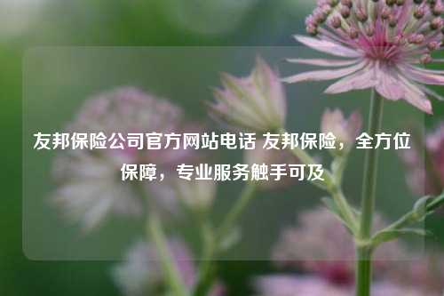 友邦保险公司官方网站电话 友邦保险，全方位保障，专业服务触手可及