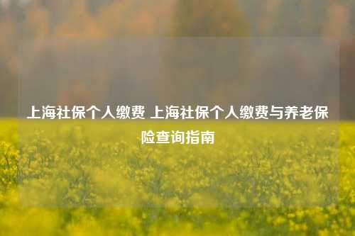 上海社保个人缴费 上海社保个人缴费与养老保险查询指南