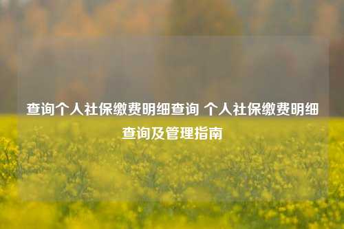 查询个人社保缴费明细查询 个人社保缴费明细查询及管理指南