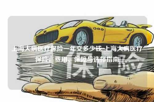 上海大病医疗保险一年交多少钱 上海大病医疗保险，费用、保障与选择指南