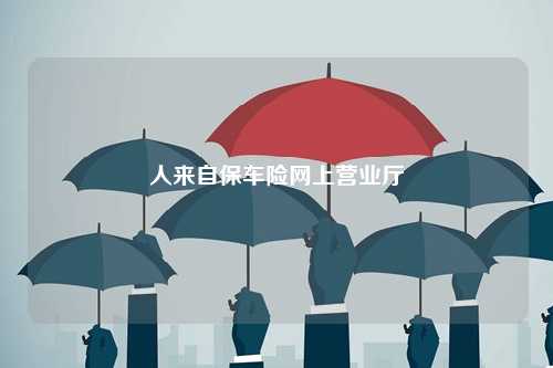 人来自保车险网上营业厅