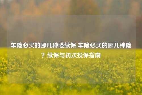 车险必买的哪几种险续保 车险必买的哪几种险？续保与初次投保指南