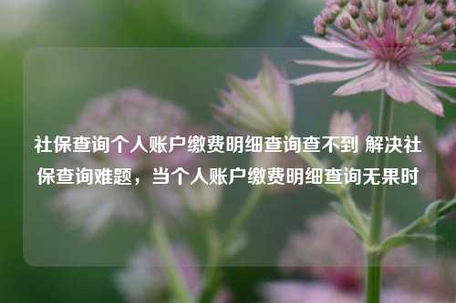 社保查询个人账户缴费明细查询查不到 解决社保查询难题，当个人账户缴费明细查询无果时