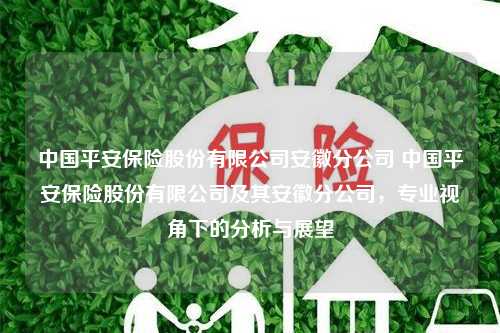 中国平安保险股份有限公司安徽分公司 中国平安保险股份有限公司及其安徽分公司，专业视角下的分析与展望