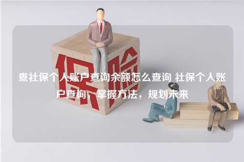 查社保个人账户查询余额怎么查询 社保个人账户查询，掌握方法，规划未来