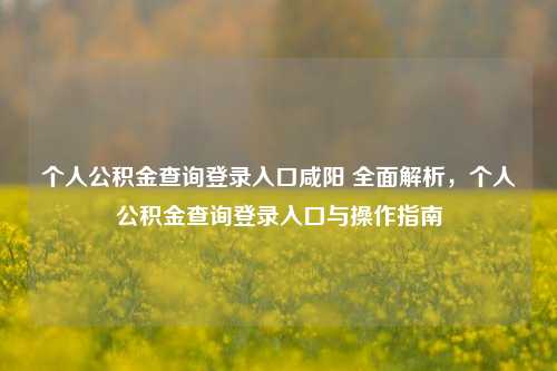 个人公积金查询登录入口咸阳 全面解析，个人公积金查询登录入口与操作指南