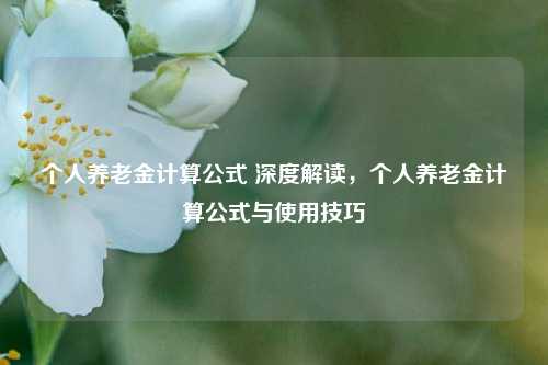 个人养老金计算公式 深度解读，个人养老金计算公式与使用技巧