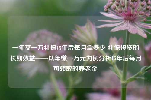 一年交一万社保15年后每月拿多少 社保投资的长期效益——以年缴一万元为例分析15年后每月可领取的养老金