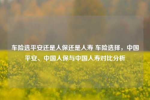 车险选平安还是人保还是人寿 车险选择，中国平安、中国人保与中国人寿对比分析