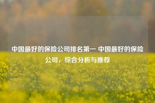 中国最好的保险公司排名第一 中国最好的保险公司，综合分析与推荐