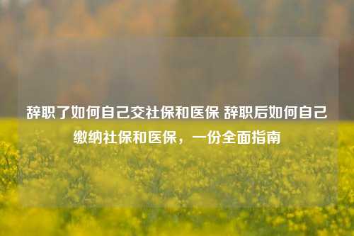 辞职了如何自己交社保和医保 辞职后如何自己缴纳社保和医保，一份全面指南