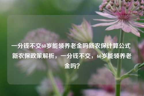 一分钱不交60岁能领养老金吗新农保计算公式 新农保政策解析，一分钱不交，60岁能领养老金吗？