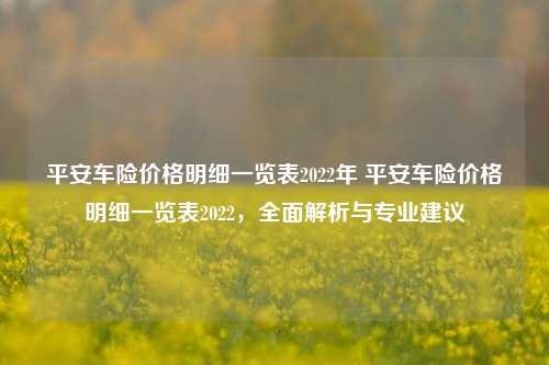 平安车险价格明细一览表2022年 平安车险价格明细一览表2022，全面解析与专业建议